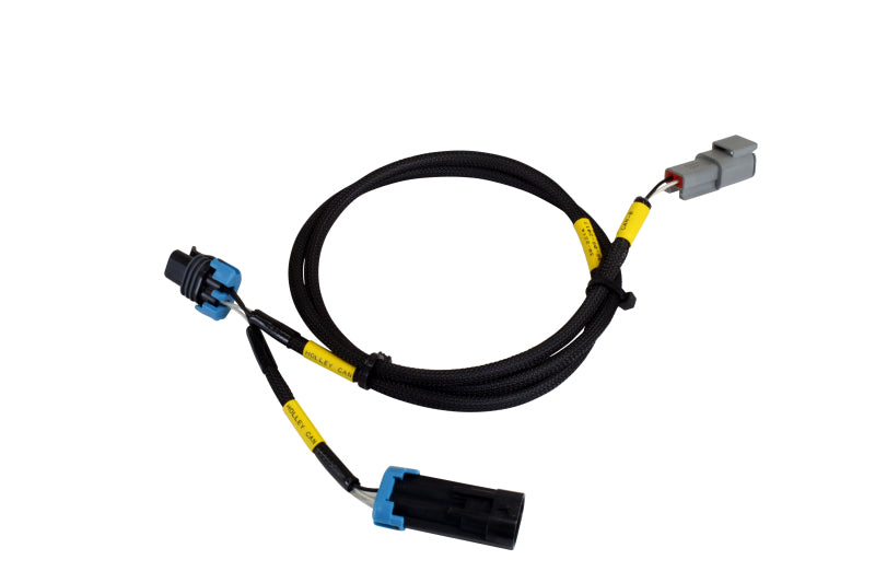 AEM CD-7/CD-7L Plug and Play Adapter Harness for Holley EFI - 30-2214-C-Dub Tech