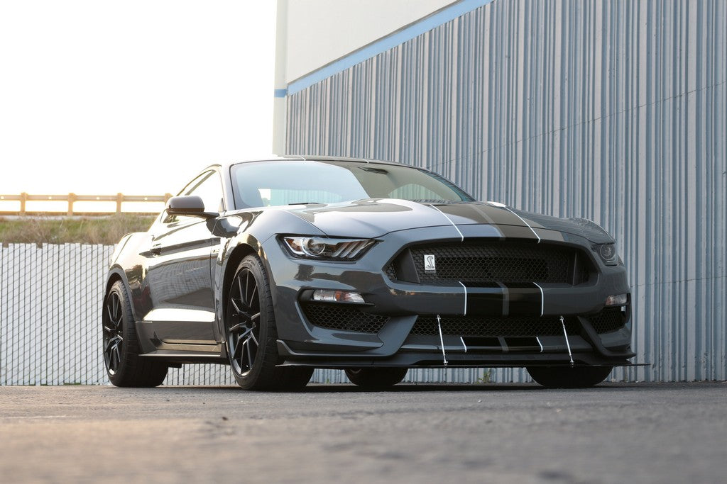 APR Performance Carbon Fiber Wind Splitter With Rods - CW-201835-C-Dub Tech