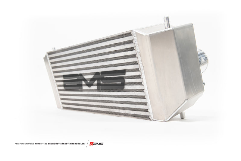 AMS Performance 2015+ Ford F-150 2.7L/3.5L / 17-19 Ford Raptor - AMS.32.09.0001-1-C-Dub Tech