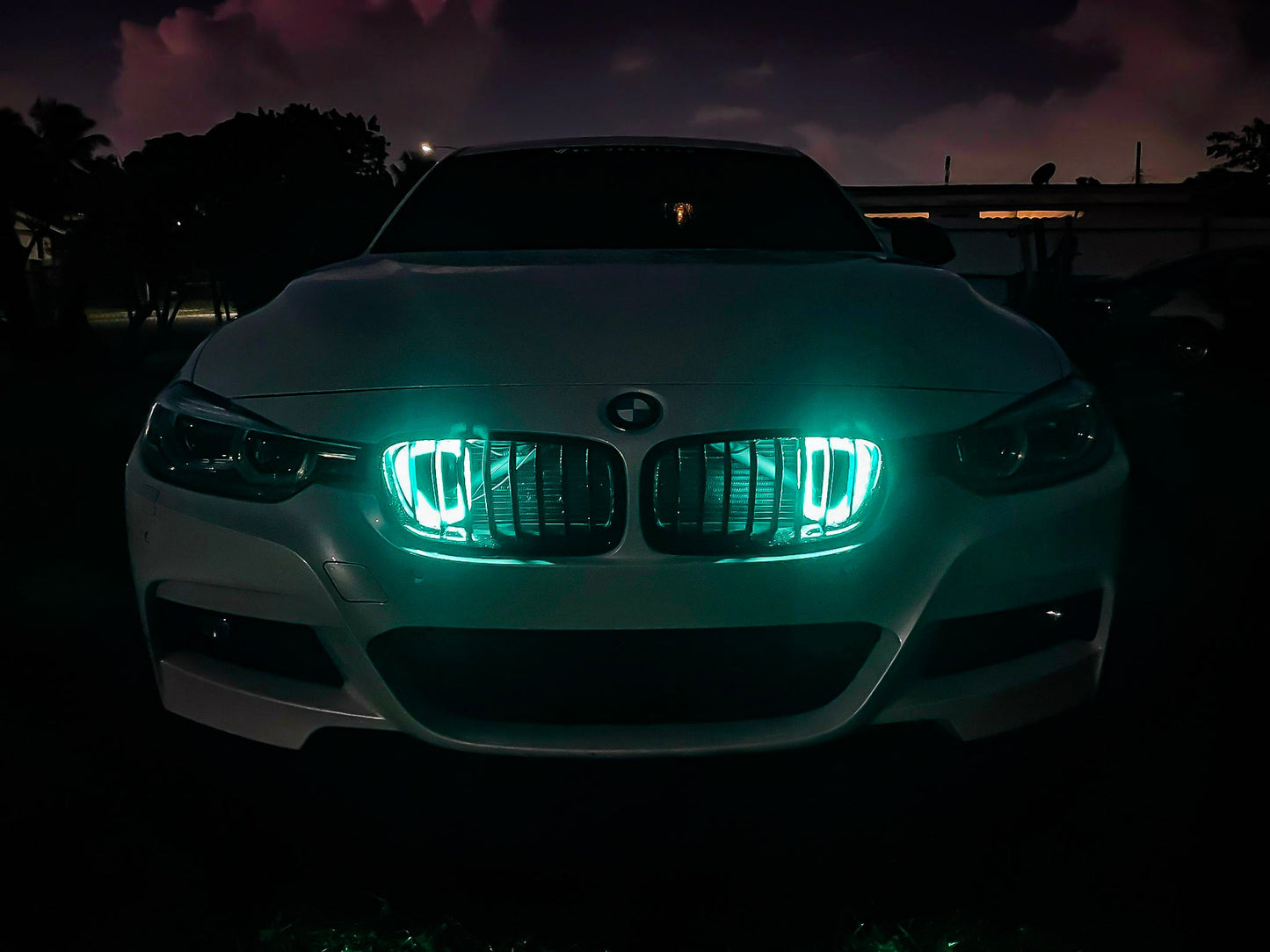 2016-2019 BMW 340i BIG MOUTH "LIT KIT" Ram Air Intake Snorkel-C-Dub Tech