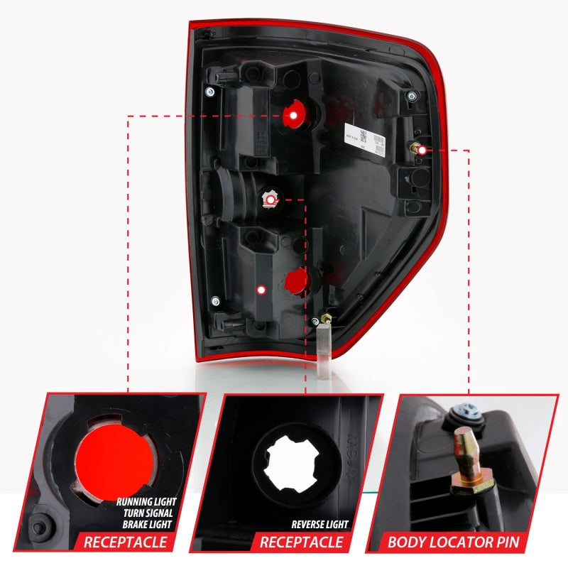 ANZO 2009-2014 Ford F-150 Euro Taillight Red/Clear (W/O Bulb) - 311299-C-Dub Tech