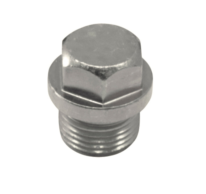 AEM O2 Sensor Bung Plug Kit - 30-2006-C-Dub Tech