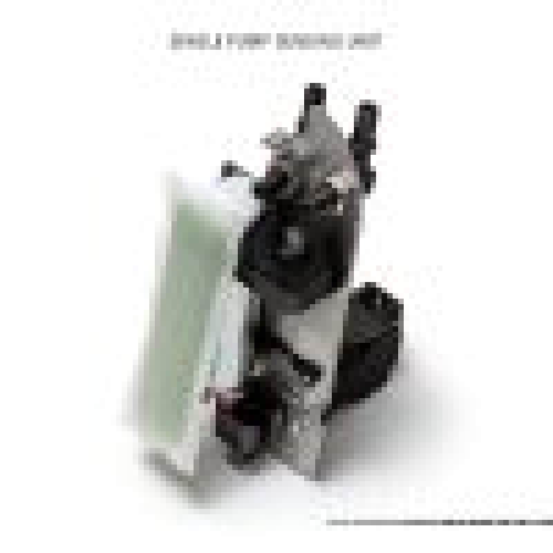 AMS Performance 2009+ Nissan GT-R R35 Omega Fuel System - - ALP.07.07.0010-2-C-Dub Tech