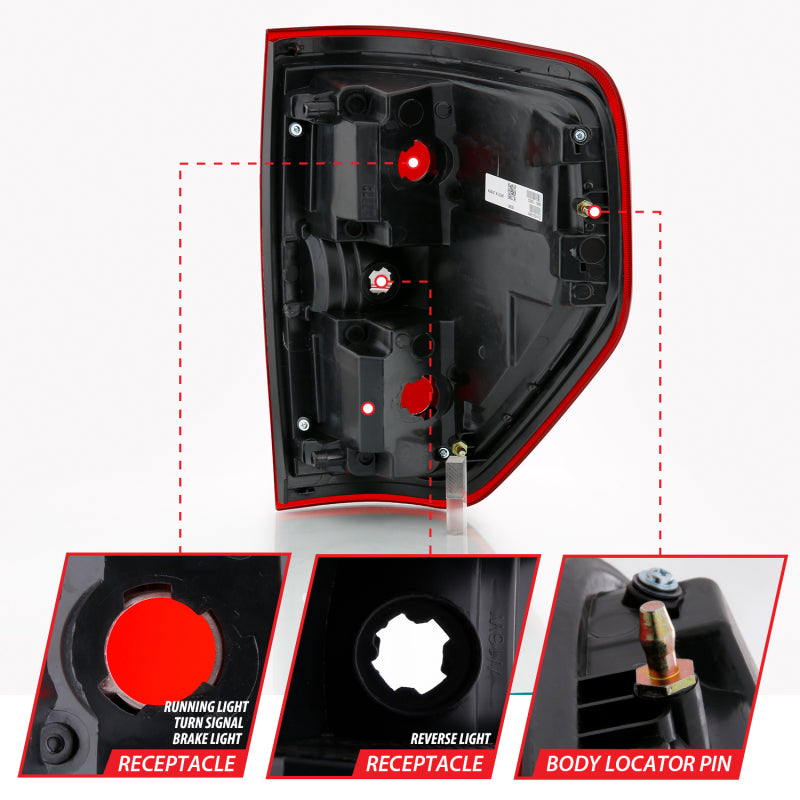 ANZO 2009-2014 Ford F-150 Euro Taillight Red/Clear (W/O Bulb) - 311299-C-Dub Tech