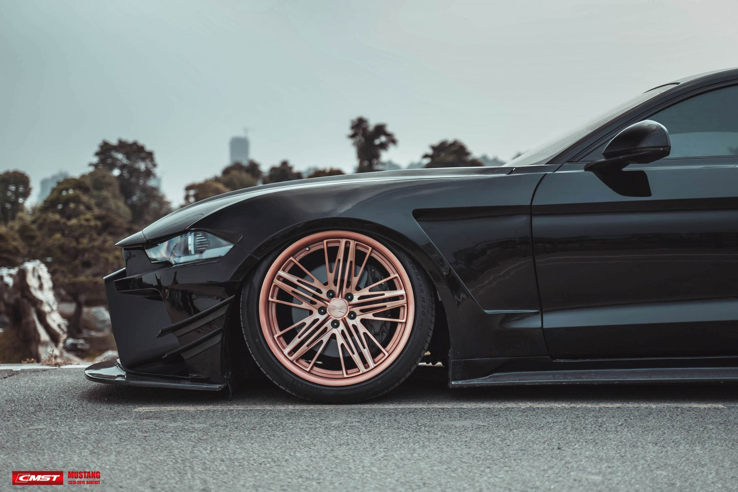CMST Carbon Fiber Widebody kit for Ford Mustang S550.2 2018-ON