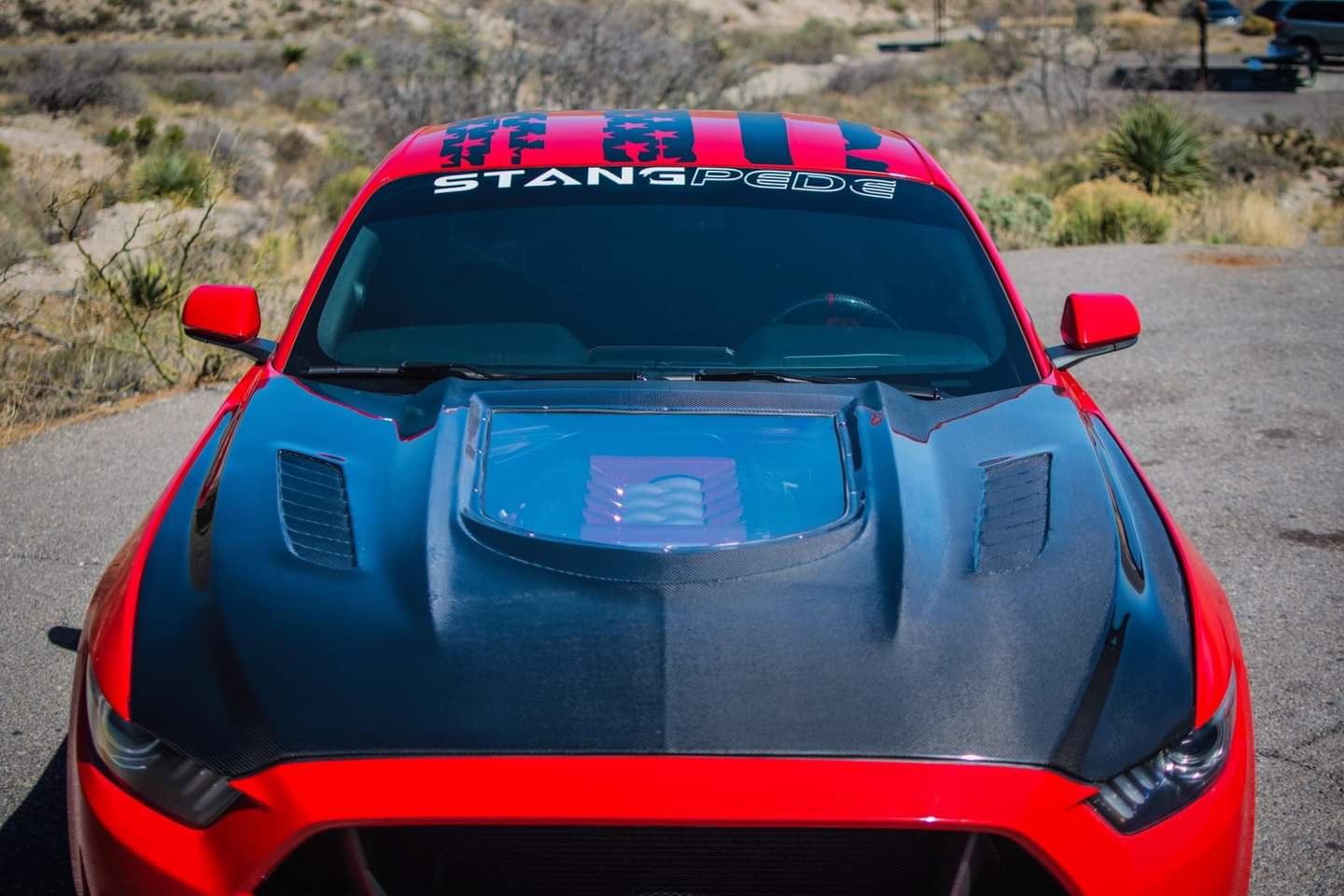 CMST Tuning Carbon Fiber Glass Transparent Hood for Ford Mustang S550.1 2015- 2017