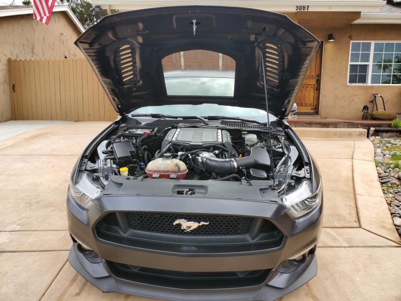 CMST Tuning Carbon Fiber Glass Transparent Hood for Ford Mustang S550.1 2015- 2017