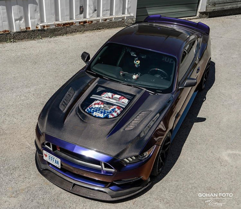 CMST Tuning Carbon Fiber Glass Transparent Hood for Ford Mustang S550.1 2015- 2017