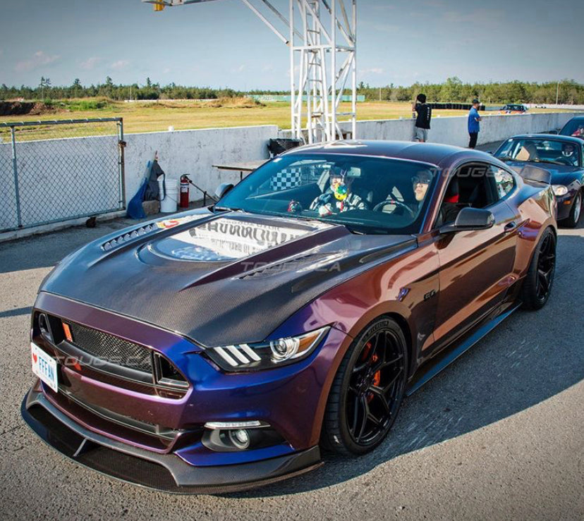 CMST Tuning Carbon Fiber Glass Transparent Hood for Ford Mustang S550.1 2015- 2017