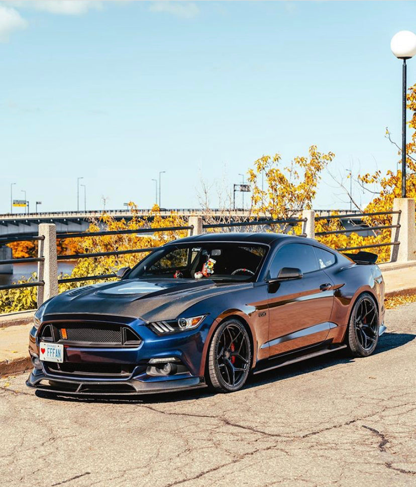 CMST Tuning Carbon Fiber Glass Transparent Hood for Ford Mustang S550.1 2015- 2017