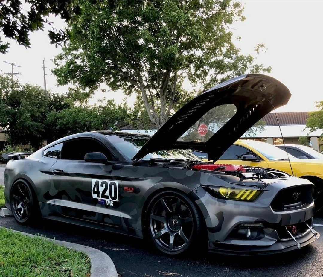 CMST Tuning Carbon Fiber Glass Transparent Hood for Ford Mustang S550.1 2015- 2017