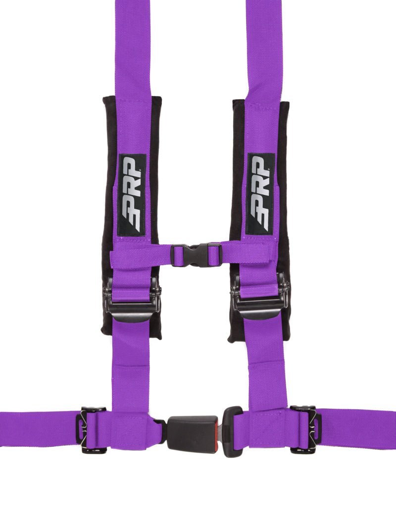 PRP 4.2 Harness- Purple - SBAUTO2PU