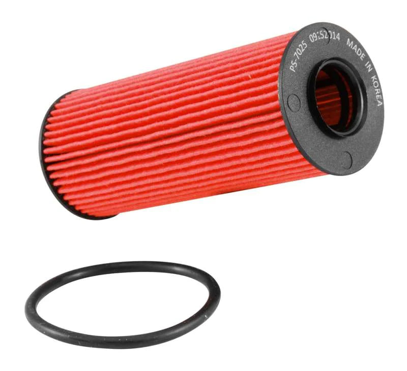 K&N 11-13 Chrysler 200/300 3.6L / 11-13 Dodge Durango 3.6L - PS-7025
