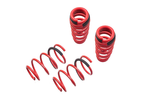 Lowering Springs - Euro-Version for BMW E90/E92 X-Drive -