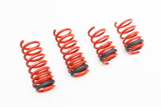 Audi R8 17+ (V10 Only) Lowering Springs - MR-LS-AR817 --C-Dub Tech
