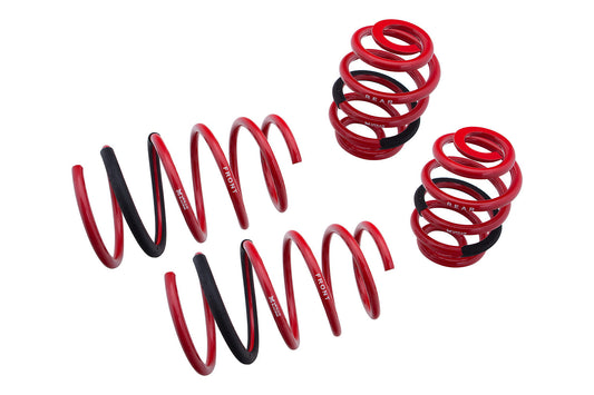 Lowering Springs - Euro-Version for BMW 3-Series 93-98 E -