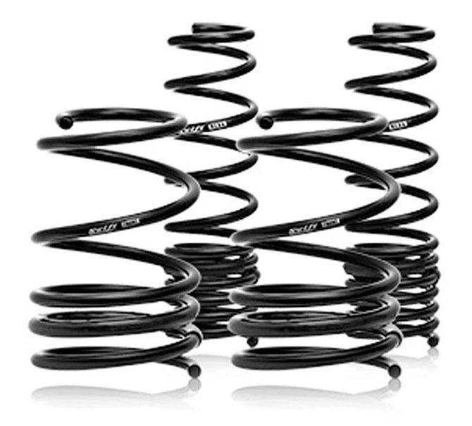 Swift Spec-R Springs | 2014-2019 Ford Fiesta ST (4X910R)