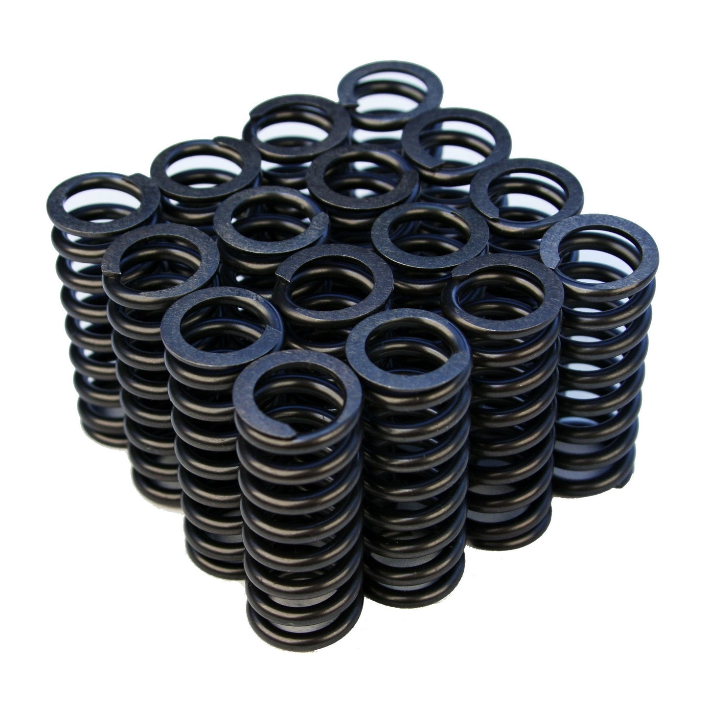 Valve Springs - D-Series SOHC VTEC - OVERSTOCK