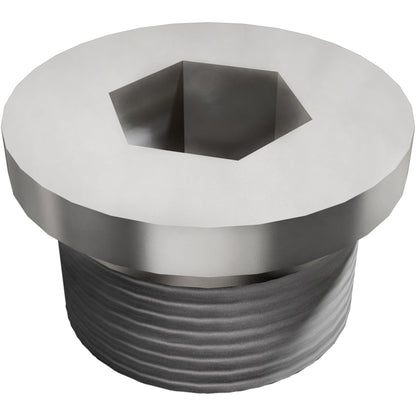 Oxygen Sensor Boss Plug