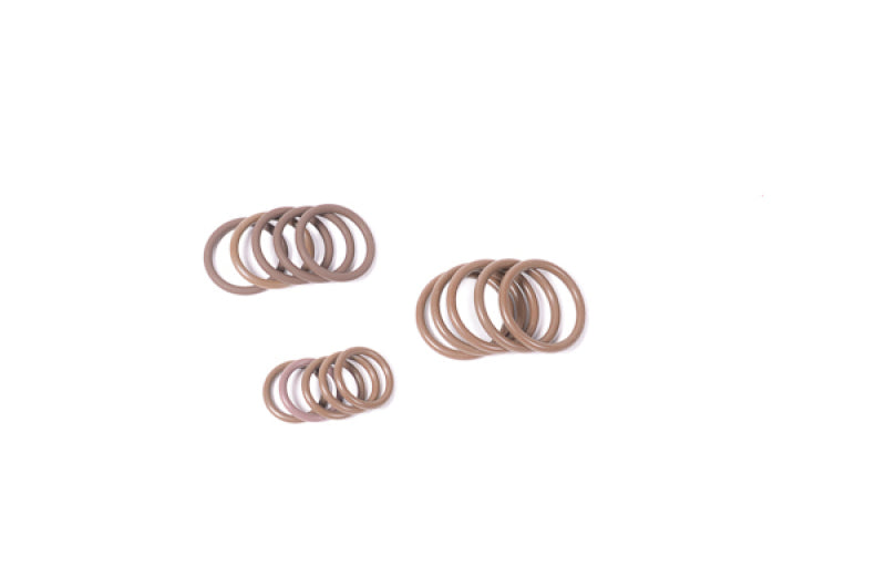 RAD O-Rings