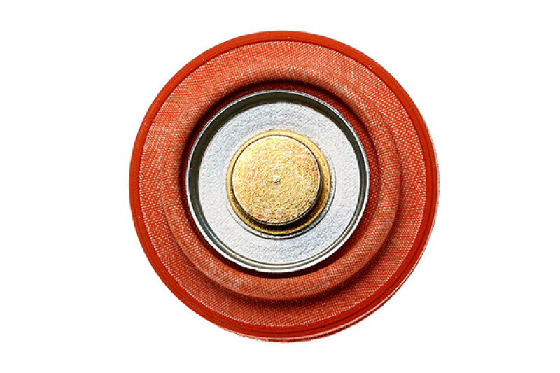 RAD Fuel Pulse Dampers
