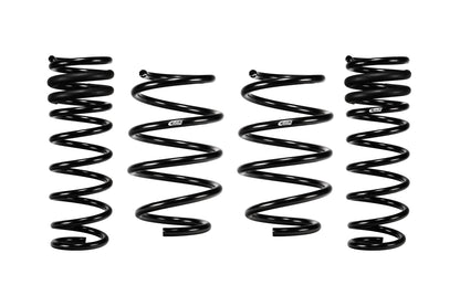 Set Of 4 Springs