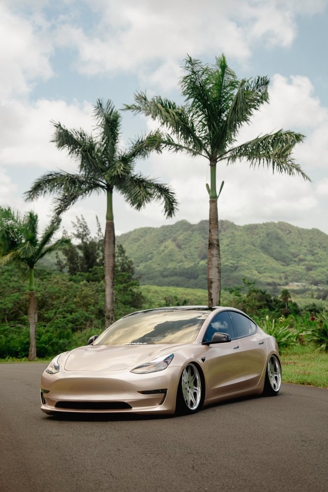 Gloss Paint Metallic Champagne