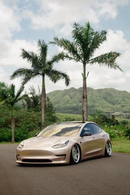 Gloss Paint Metallic Champagne