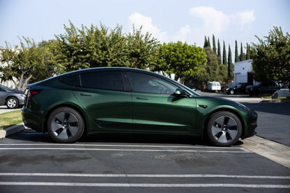 Gloss Paint Metallic Sonoma Green