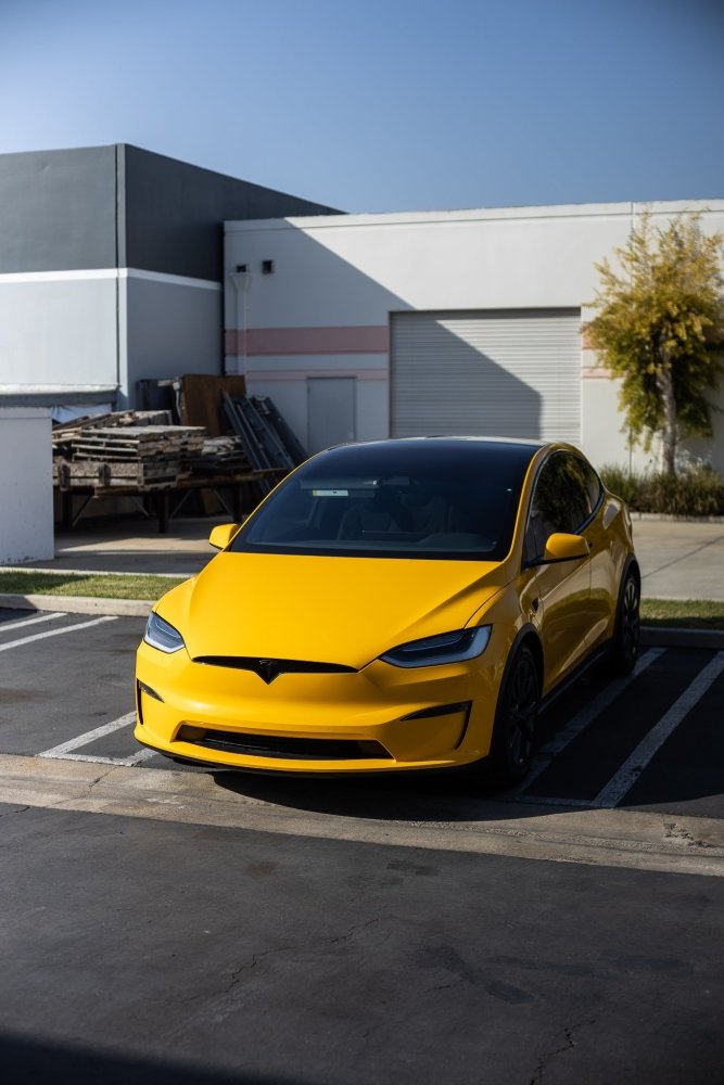 Gloss Sunflower Yellow