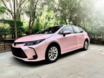 Matte Carnation Pink