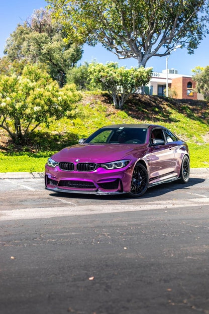 Ultra Gloss Paint Metallic Plum Purple