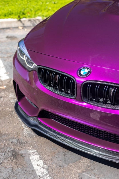 Ultra Gloss Paint Metallic Plum Purple