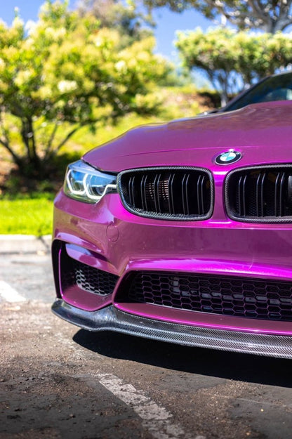 Ultra Gloss Paint Metallic Plum Purple