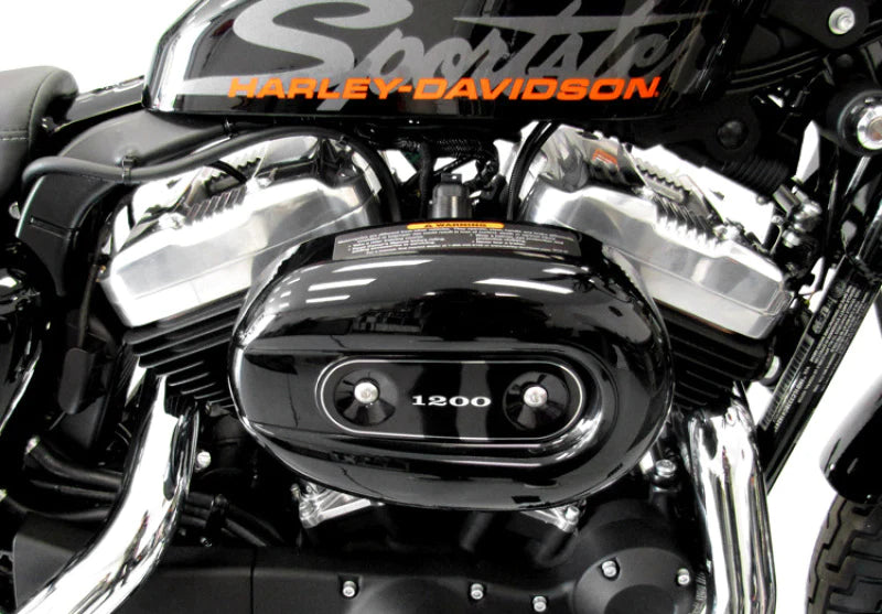 K&N Intake System for 04-09 Harley Davidson H/D Sportster Custom - RK-3929