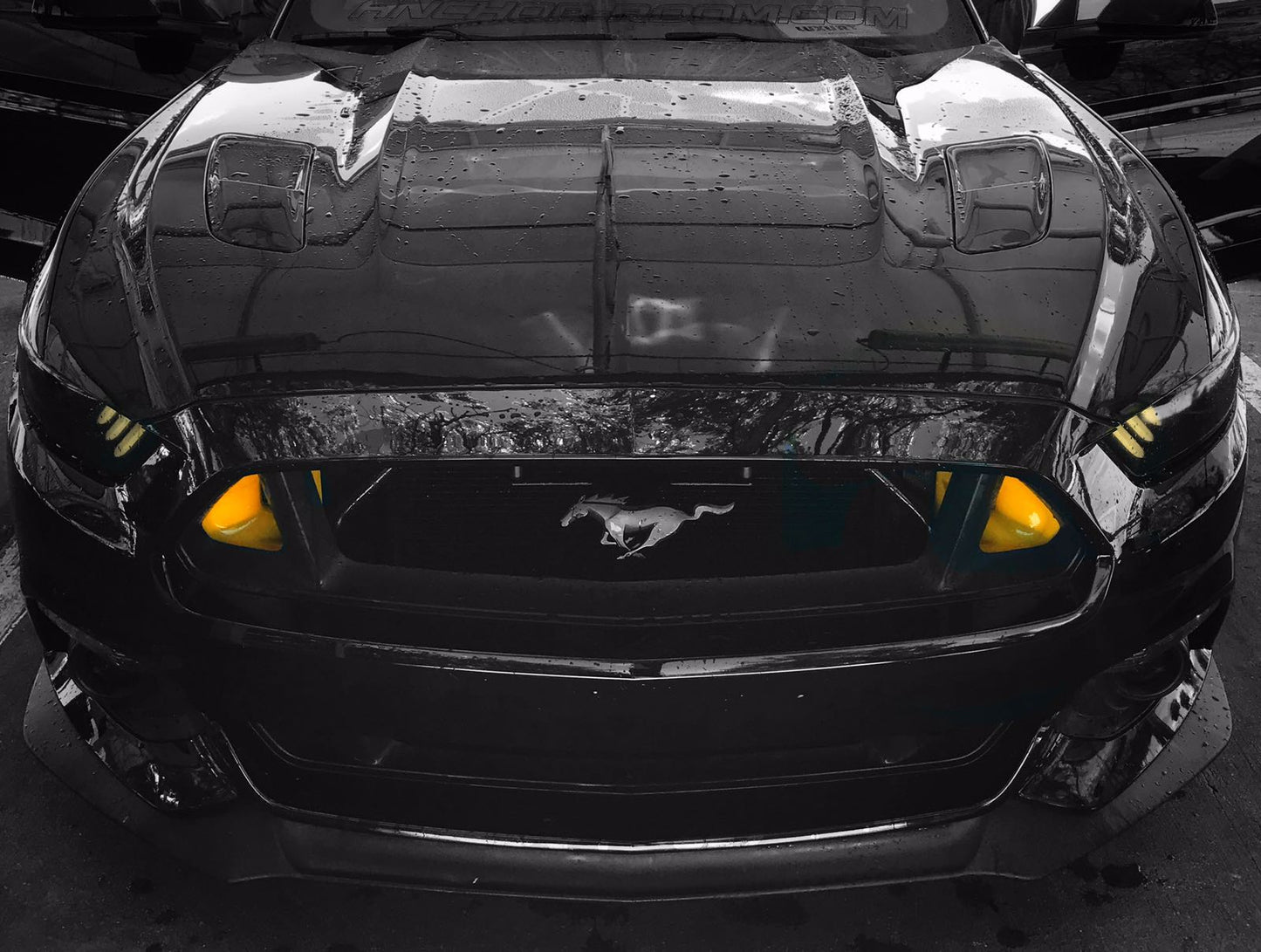 2015-2017 Ford Mustang S550 BIG MOUTH Ram Air Intake Snorkel-C-Dub Tech