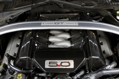 APR Performance Carbon Fiber Engine Cover 5.0 - CBE-MUGENG15