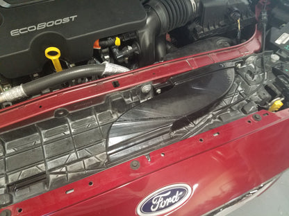 2017-2019+ Ford Fusion Sport BIG MOUTH Ram Air Intake Snorkel-C-Dub Tech