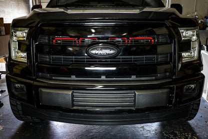2015-2017 Ford F-150 and 2017-2020 Ford F-150 Raptor Quad BIG MOUTH Ram Air Intake Snorkels-C-Dub Tech