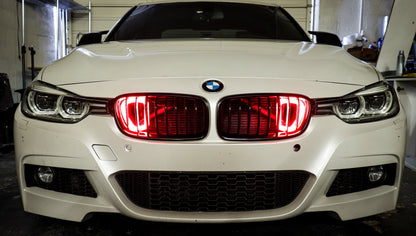 2016-2019 BMW 340i BIG MOUTH "LIT KIT" Ram Air Intake Snorkel-C-Dub Tech