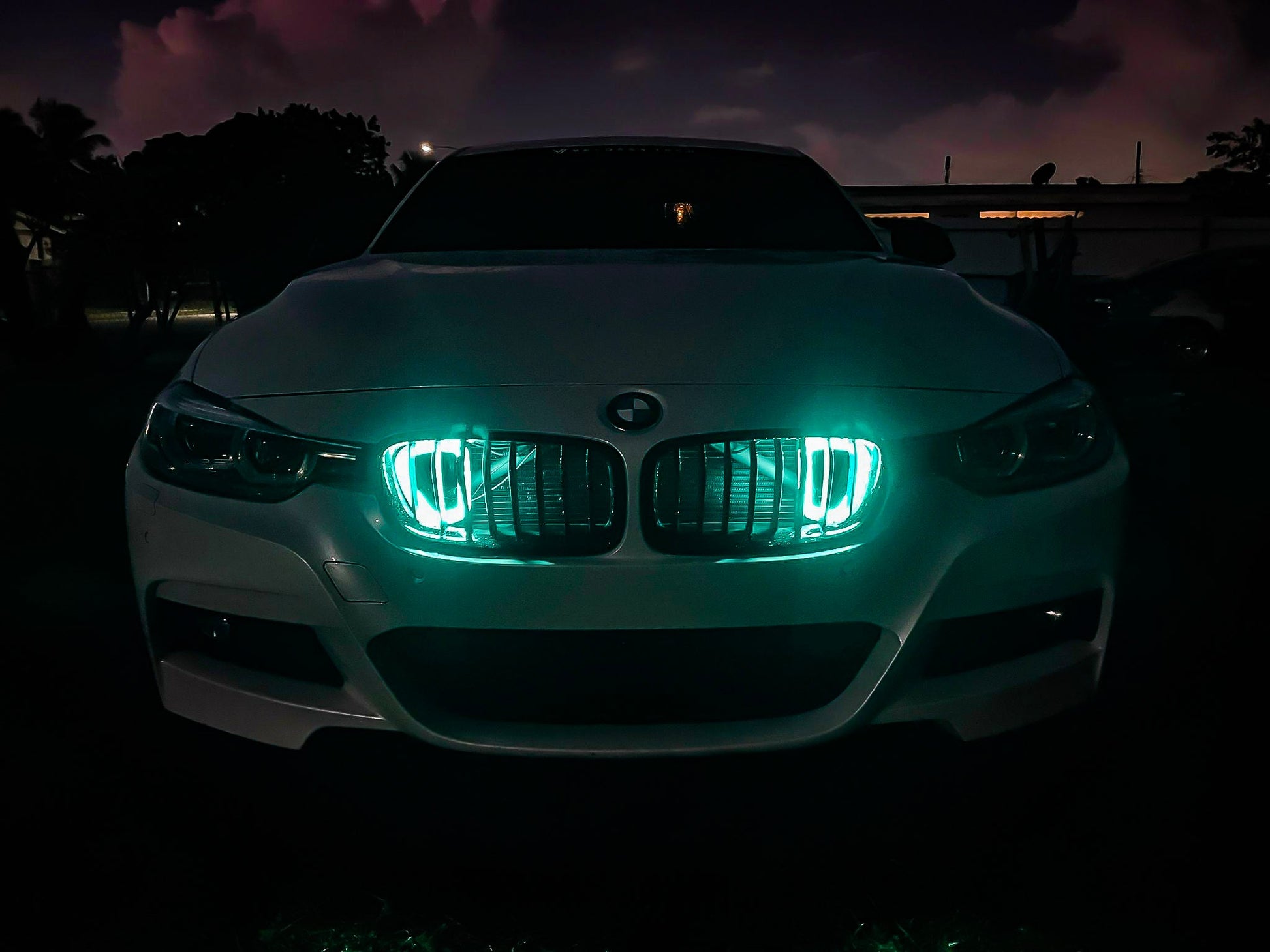 2016-2019 BMW 340i BIG MOUTH "LIT KIT" Ram Air Intake Snorkel-C-Dub Tech
