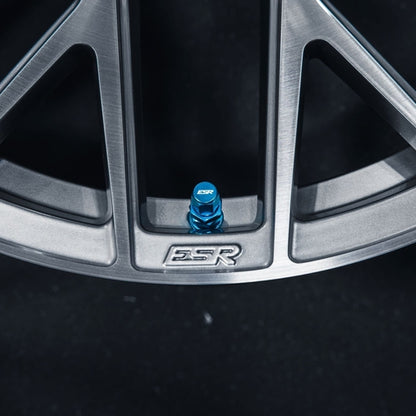 ESR Performance Valve Stems (sold as set)