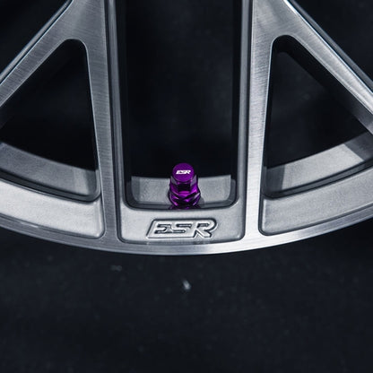 ESR Performance Valve Stems (sold as set)