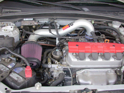 K&N 01-05 Honda Civic SR L4-1.7L Silver Typhoon Short Ram - 69-1008TS