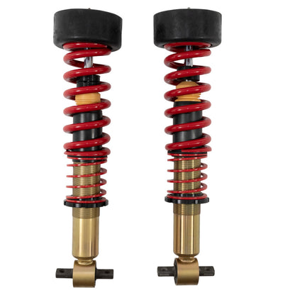 Belltech COILOVER KIT 2019+ GM Silverado / Sierra 1500 2/4WD - 15003-C-Dub Tech