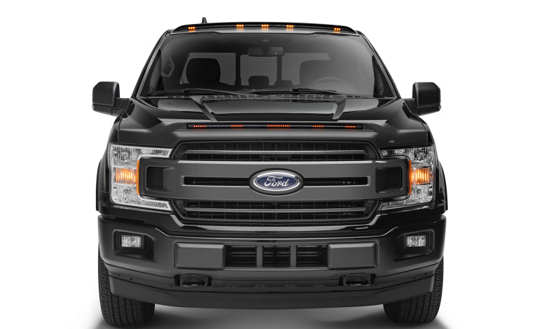 AVS 15-20 Ford F-150 (Excl. Raptor) Low Profile Aeroskin Lightshield - 953096-C-Dub Tech