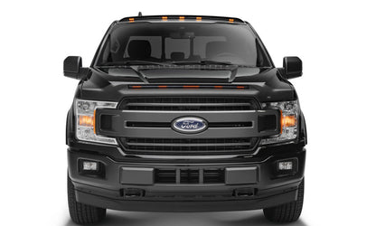 AVS 15-20 Ford F-150 (Excl. Raptor) Low Profile Aeroskin Lightshield - 953096-C-Dub Tech