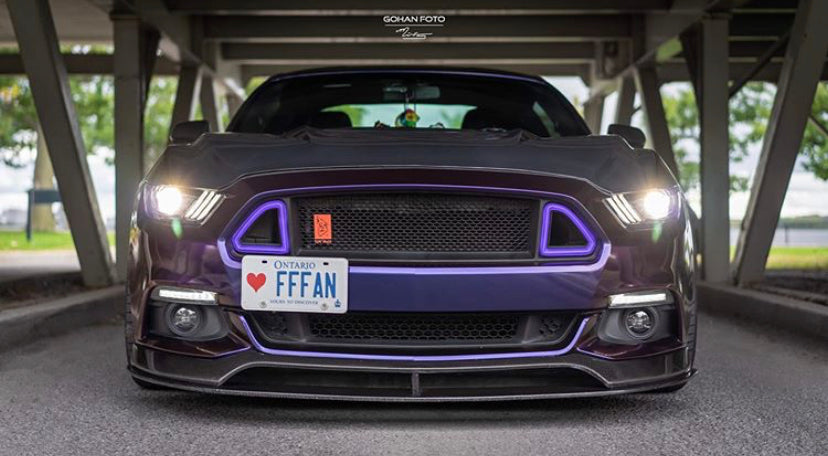 CMST Tuning Carbon Fiber Glass Transparent Hood for Ford Mustang S550.1 2015- 2017