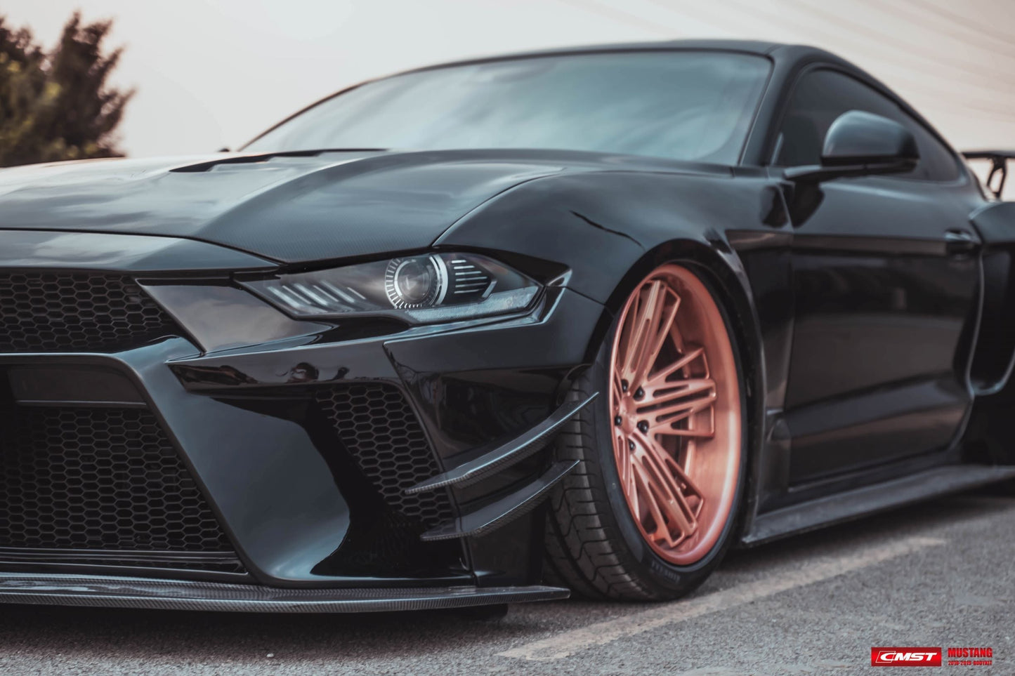 CMST Tuning Carbon Fiber Front Bumper & Front Lip for Ford Mustang S550.2 2018 - 2022