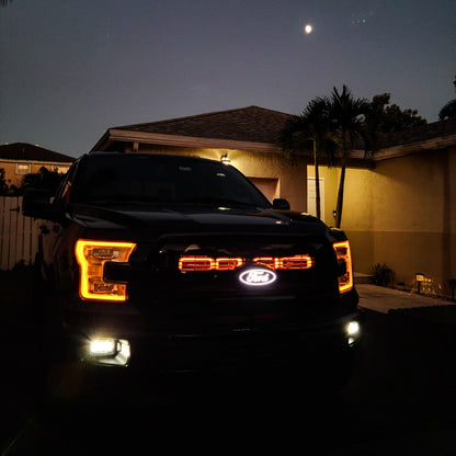 2015-2017 Ford F-150 and 2017-2020 Ford F-150 Raptor Quad BIG MOUTH "LIT KIT" Ram Air Intake Snorkels-C-Dub Tech